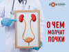 О чем молчат почки
