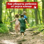 Клещи проснулись