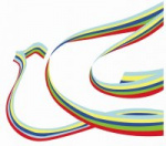 Ассоциация молодёжных национально-культурных общественных объединений Удмуртской Республики «ВМЕСТЕ»