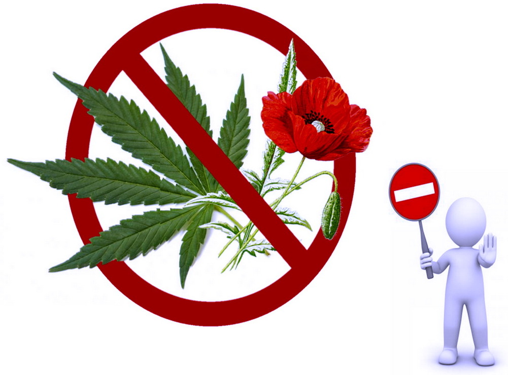Стоп мак и конопля Стоп мак и конопля